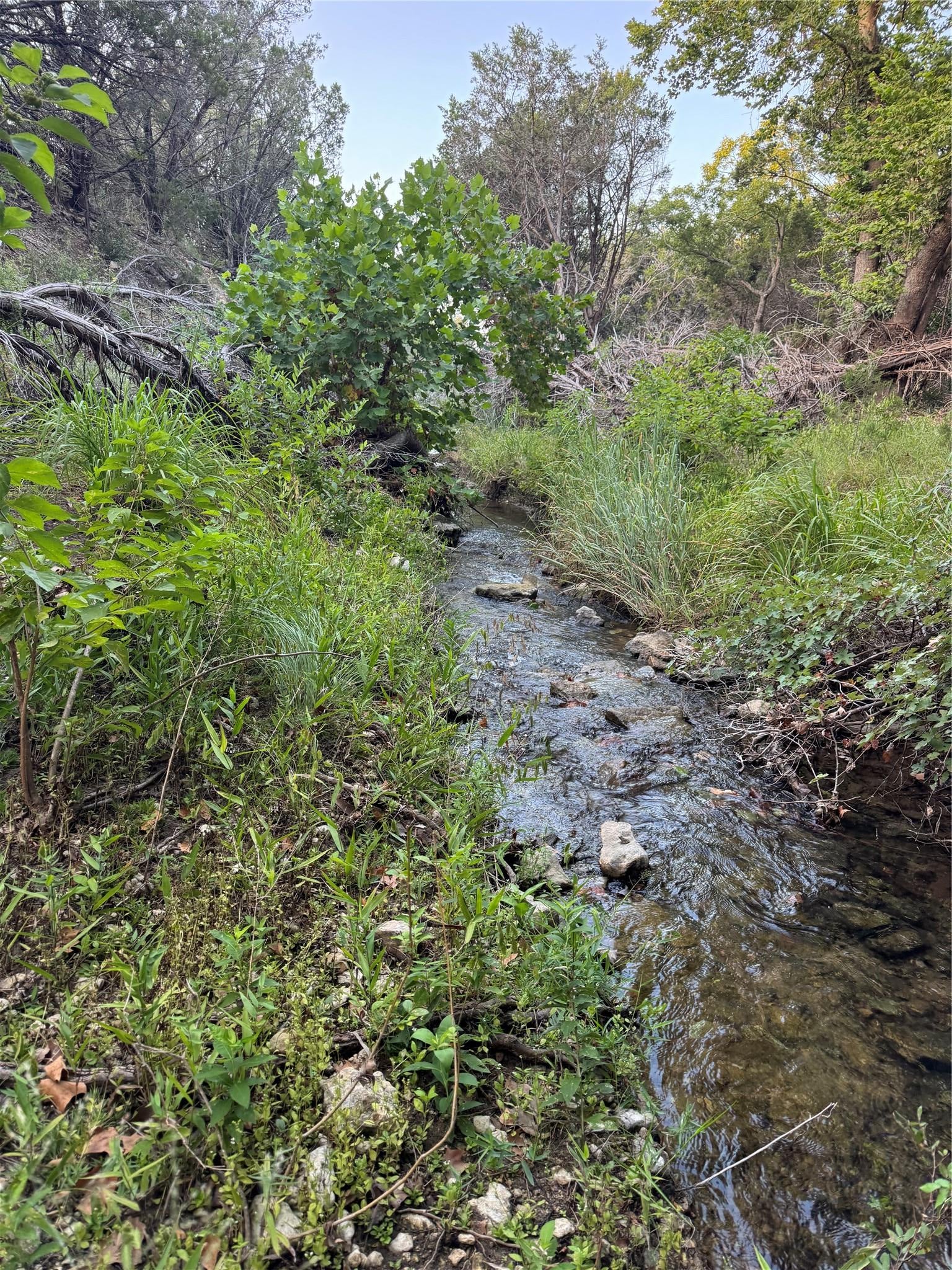 0000 Round Mountain RD