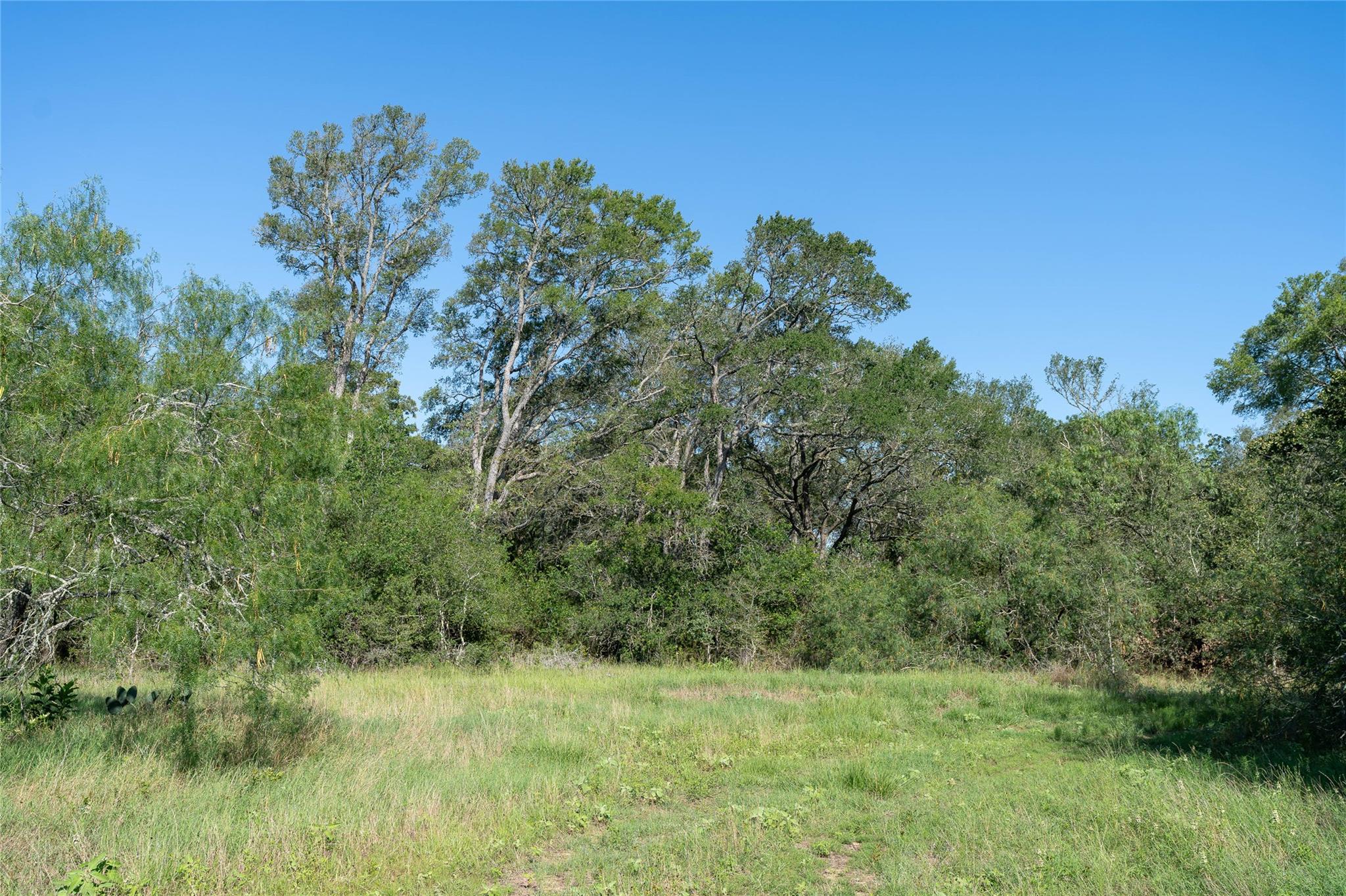 995 Carter RD