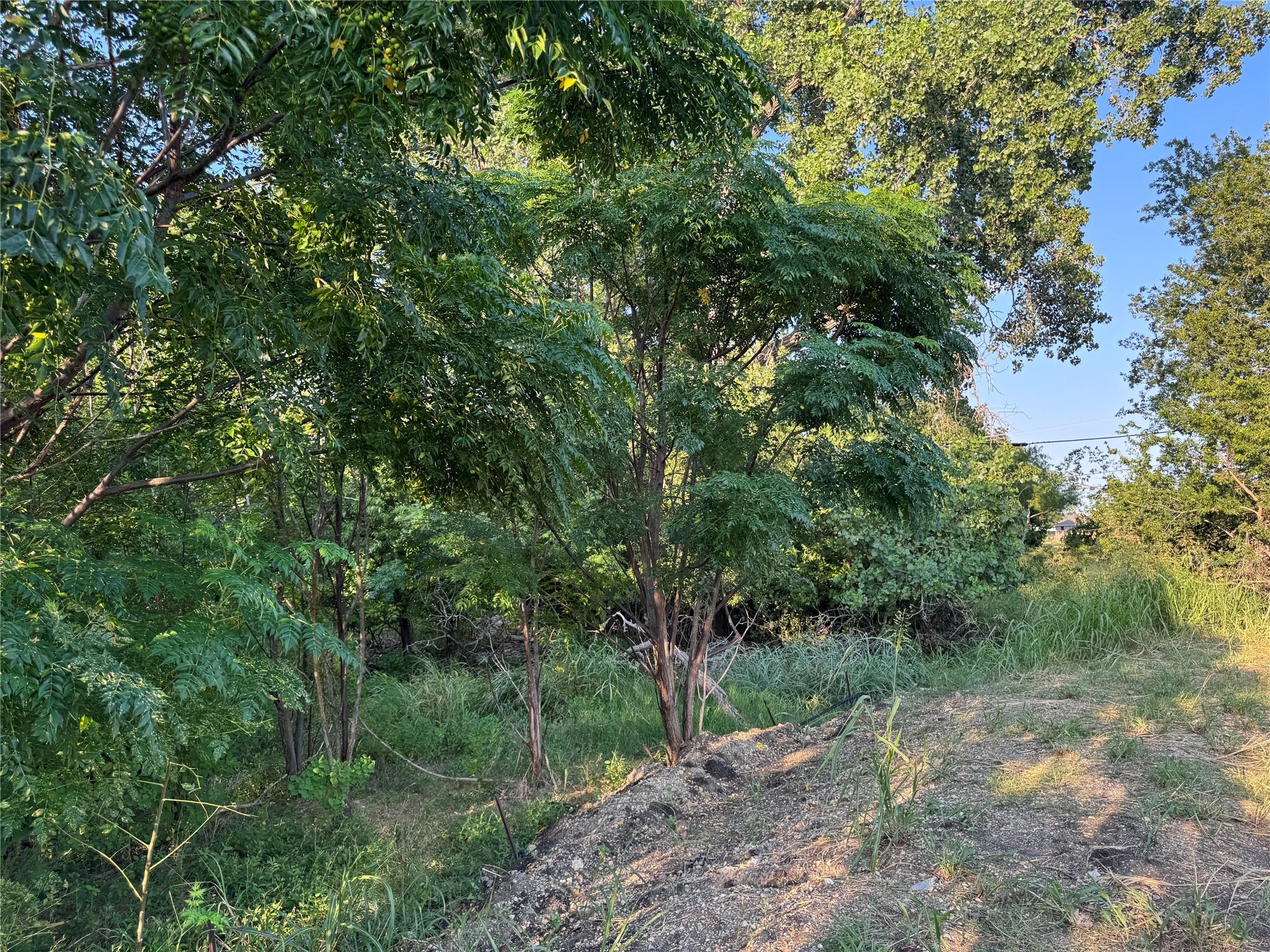 4401 Trimmier RD