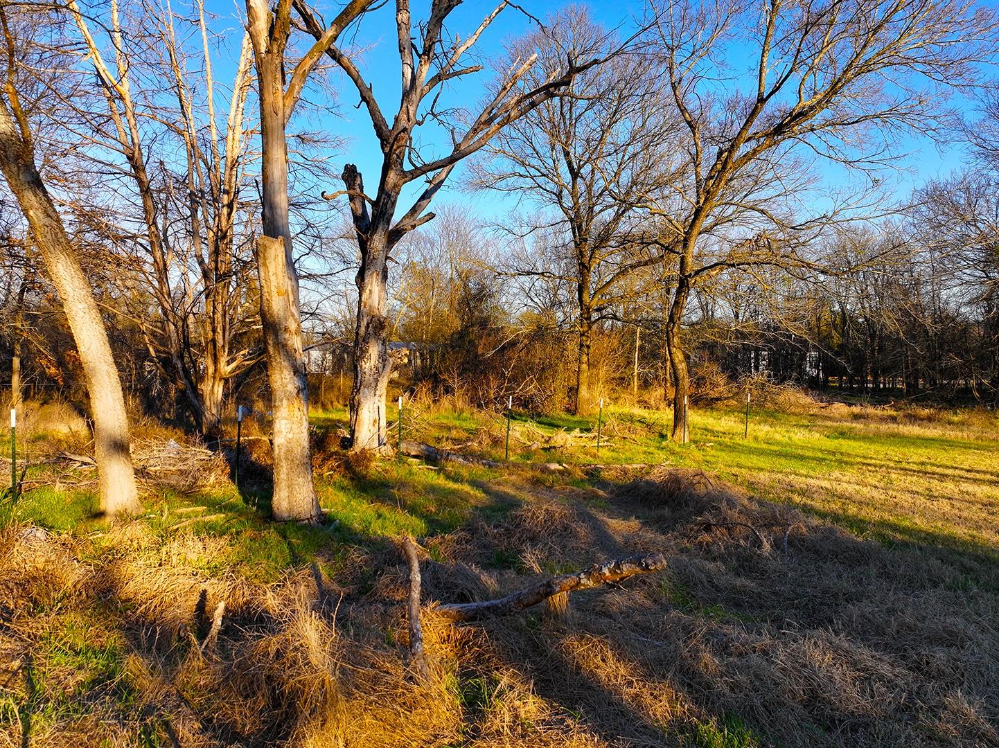 TBD COUNTY ROAD 3114