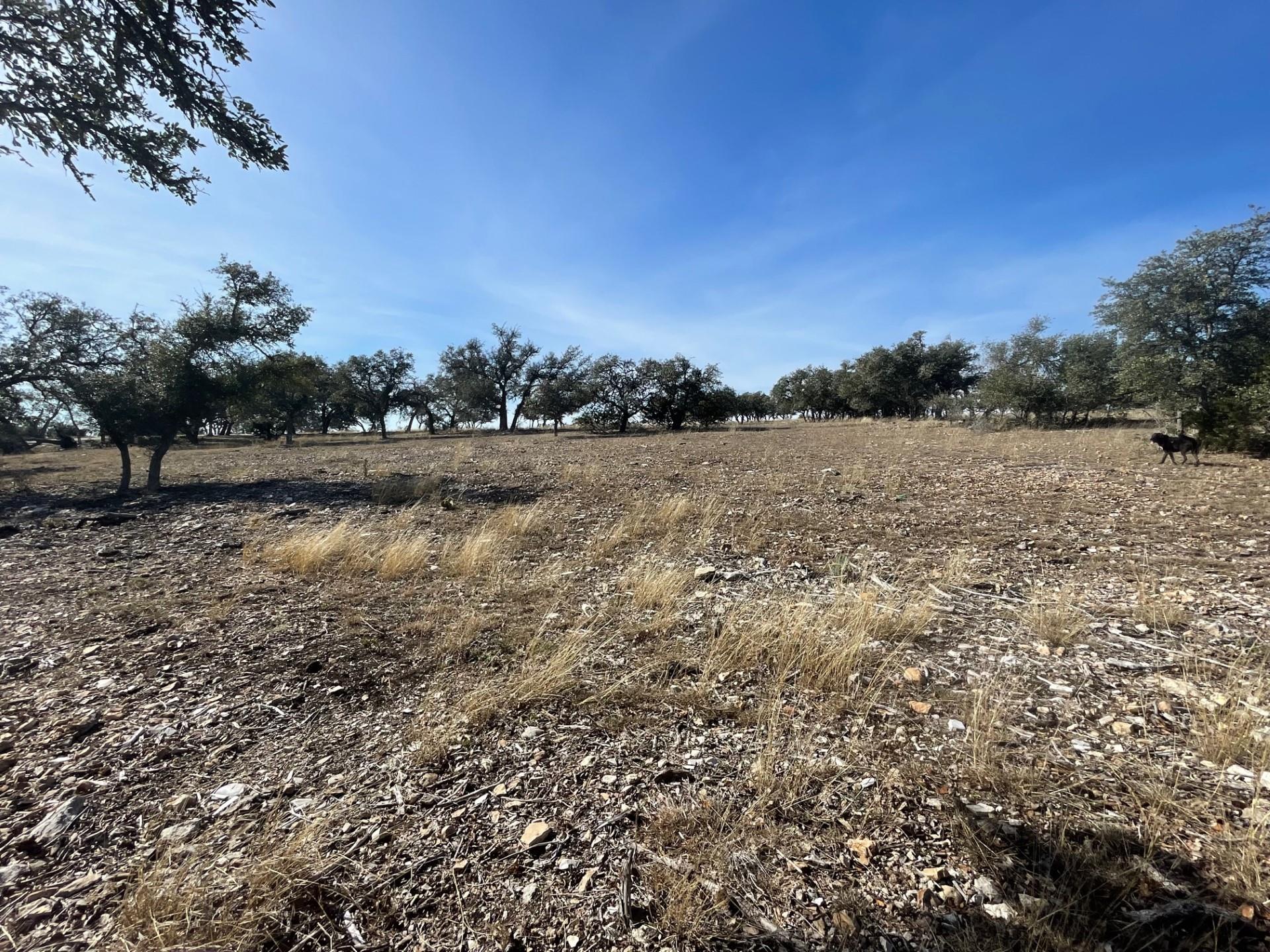 Lot 15 Avva DR