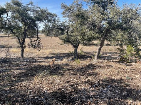 Lot 15 Avva DR Mountain Home TX 78058