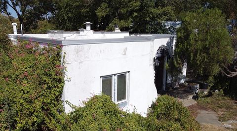 Tiny photo for 3506 Tom Green ST #1, Austin, TX 78705 (MLS # 7328973)
