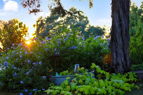 Tiny photo for 8414 Indian SMT, Austin, TX 78737 (MLS # 3241652)