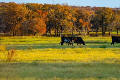 Photo of TBD Tx-123, Seguin, TX 78155 (MLS # 8530094)