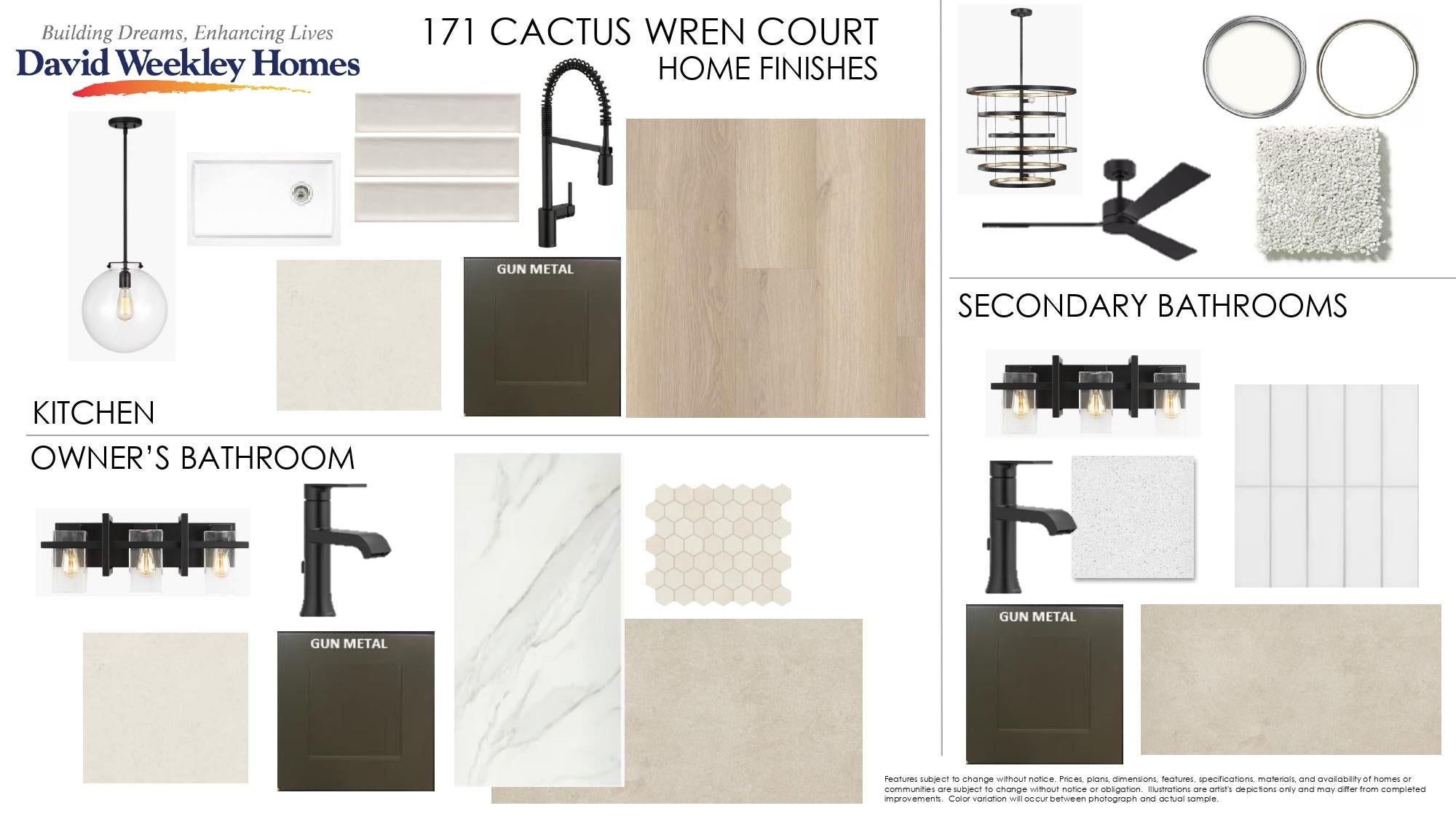 171 Cactus Wren CT