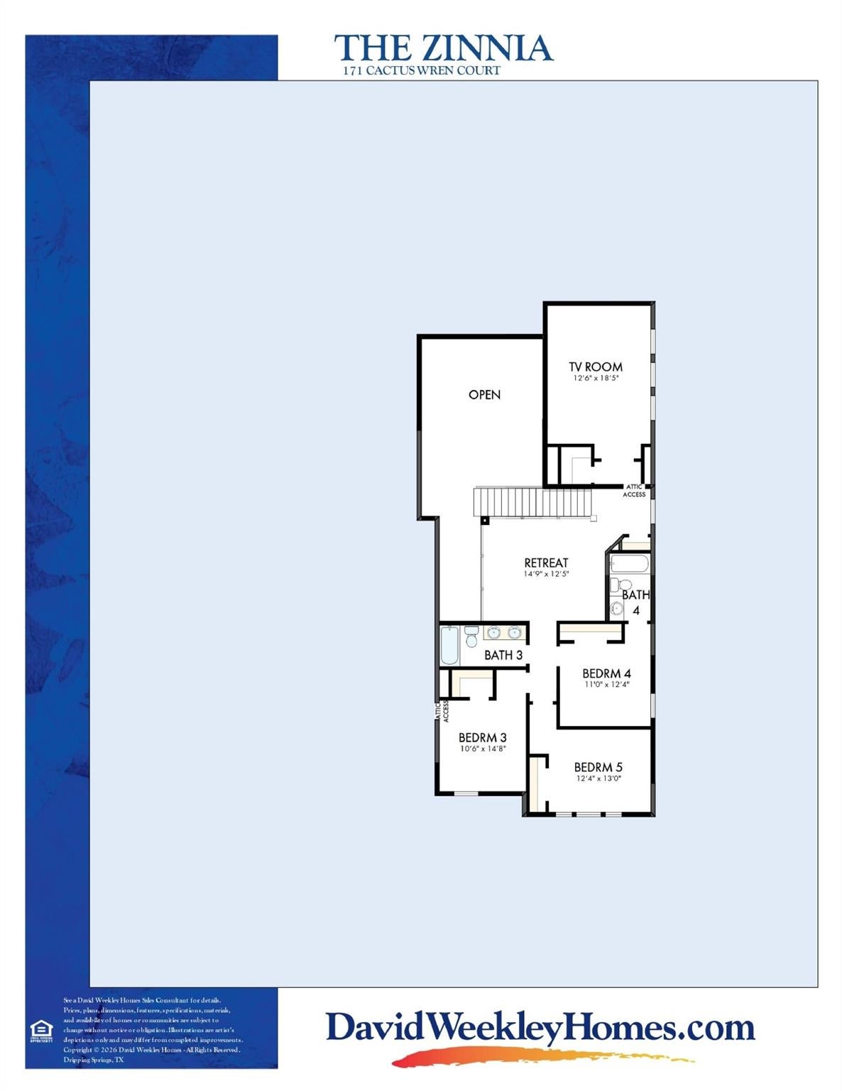 171 Cactus Wren CT