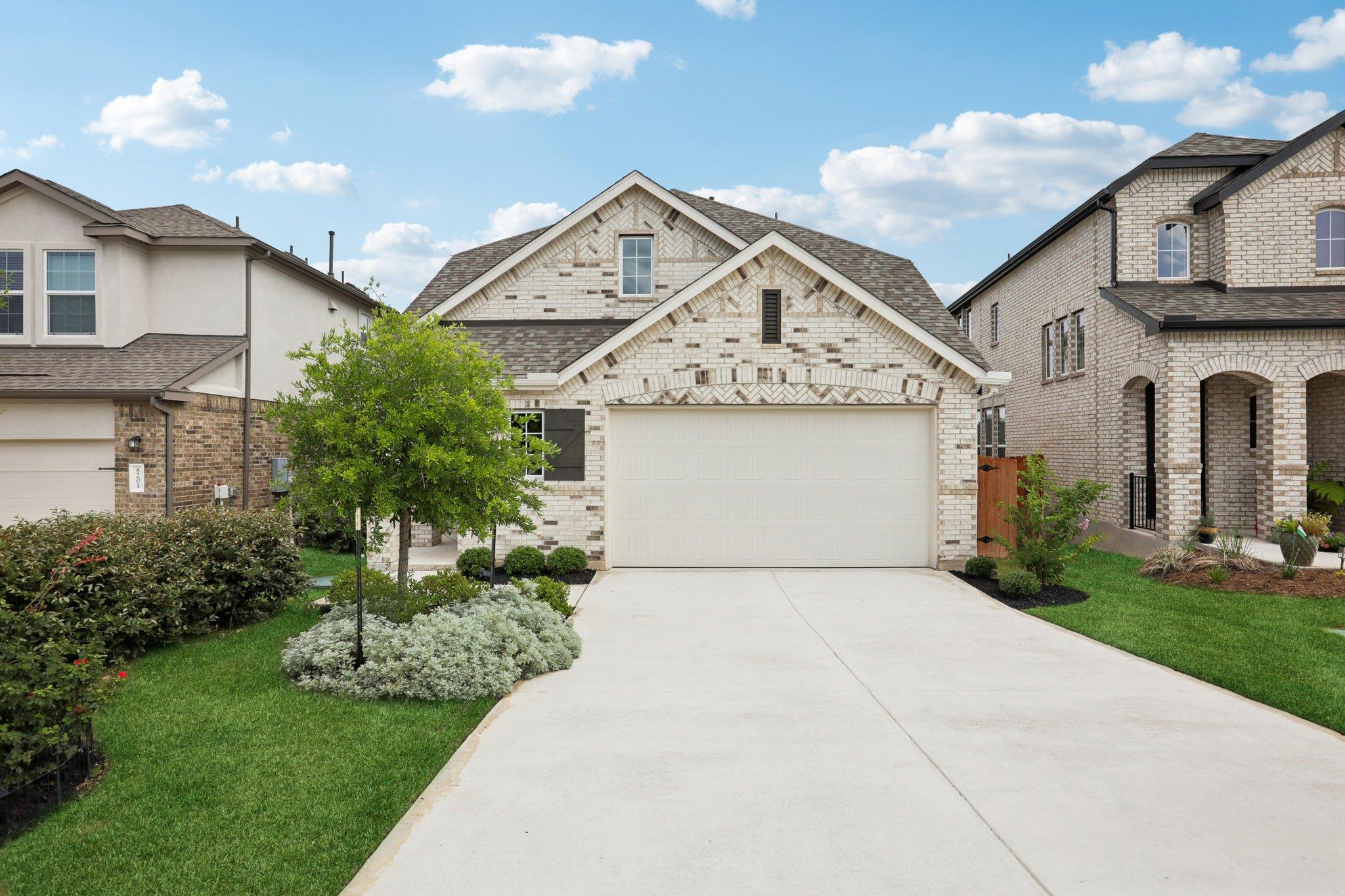 8119 Purple Aster PASS