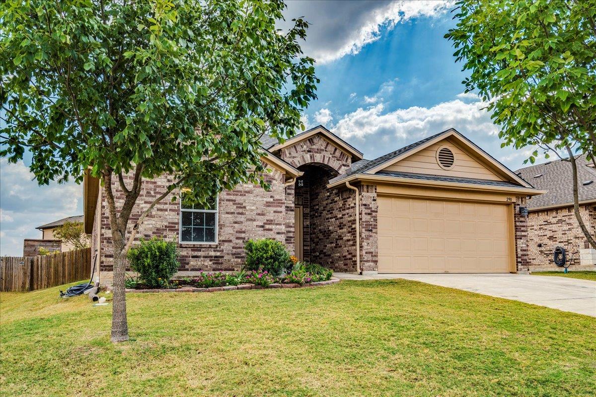 290 Dusky Thrush DR