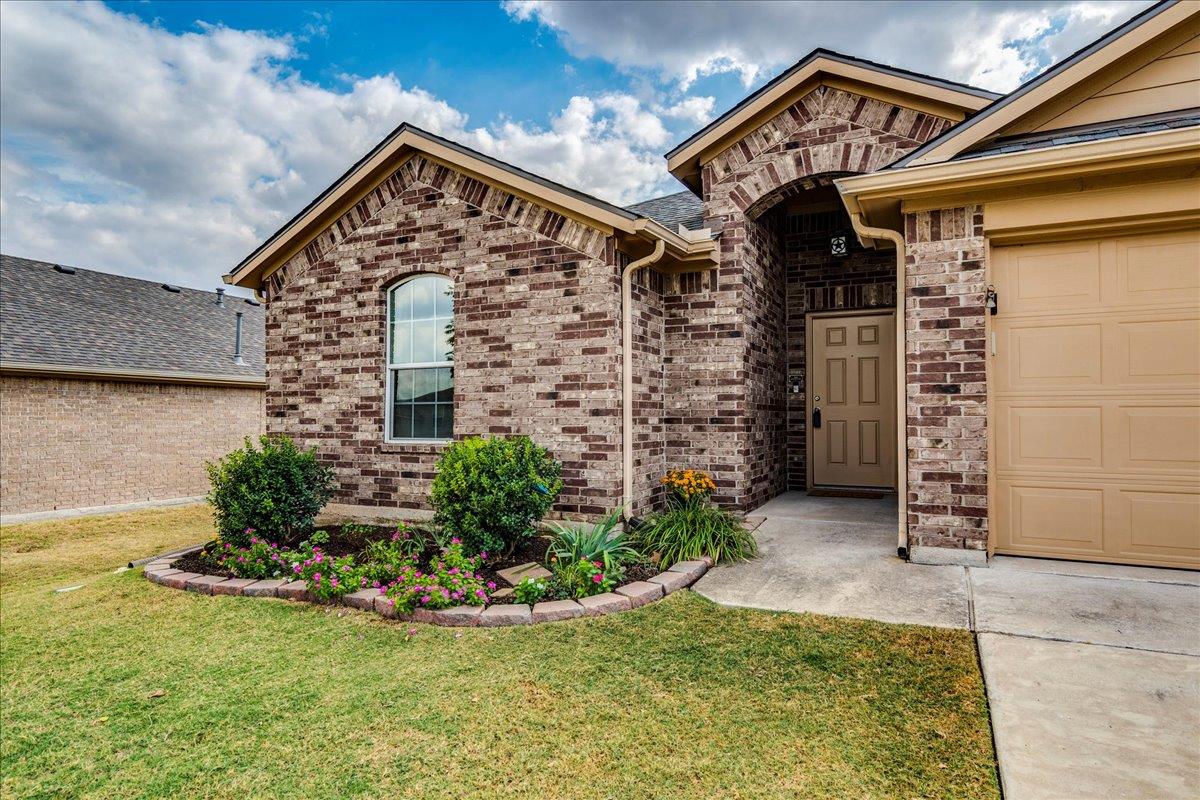 290 Dusky Thrush DR