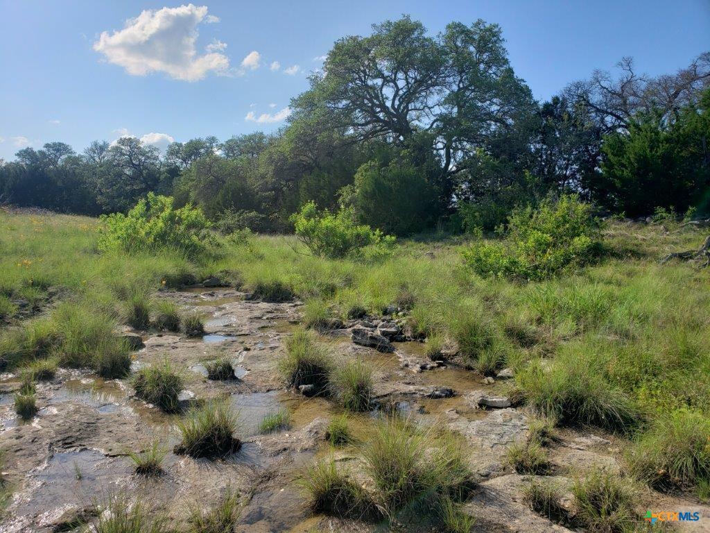 Lot 5 CR 1255 Pitt Creek Ranch