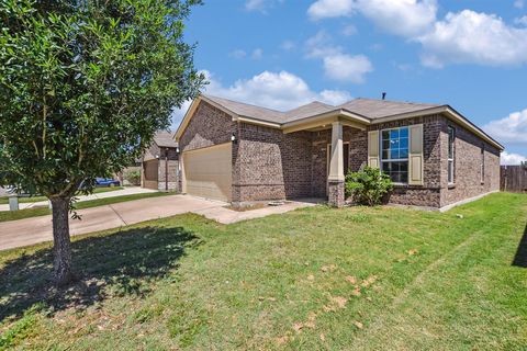 136 Stella Gold ST Buda TX 78610