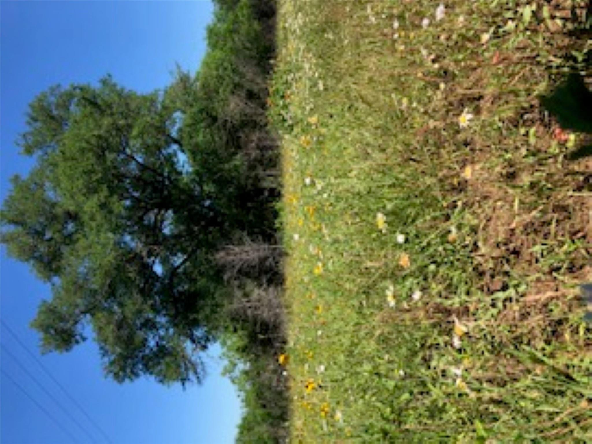 569 TBD Burdette Wells RD