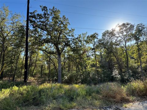 Photo of Lot 130 Wailupe CIR, Bastrop, TX 78602 (MLS # 1143463)