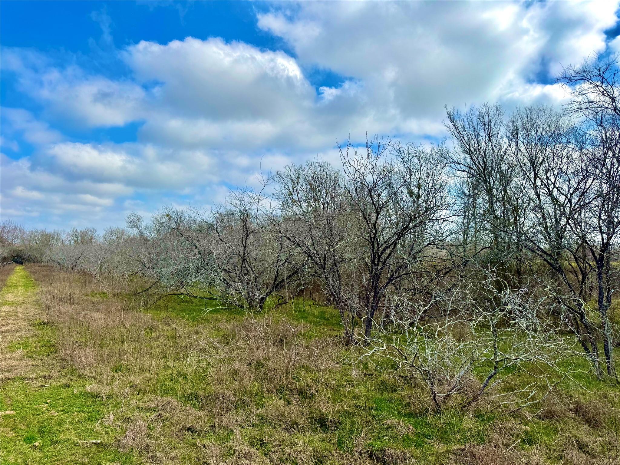 1118 County Road 447