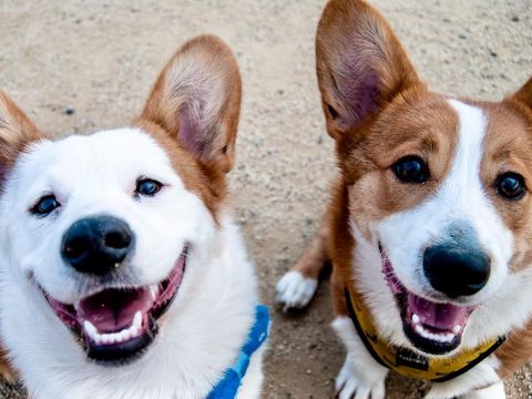 Tiny photo for 3600 Jetson WAY #1108, Austin, TX 78723 (MLS # 9040062)