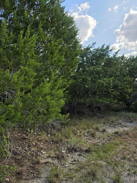 Photo of 21301 Santa Marta CV, Leander, TX 78645 (MLS # 6182753)