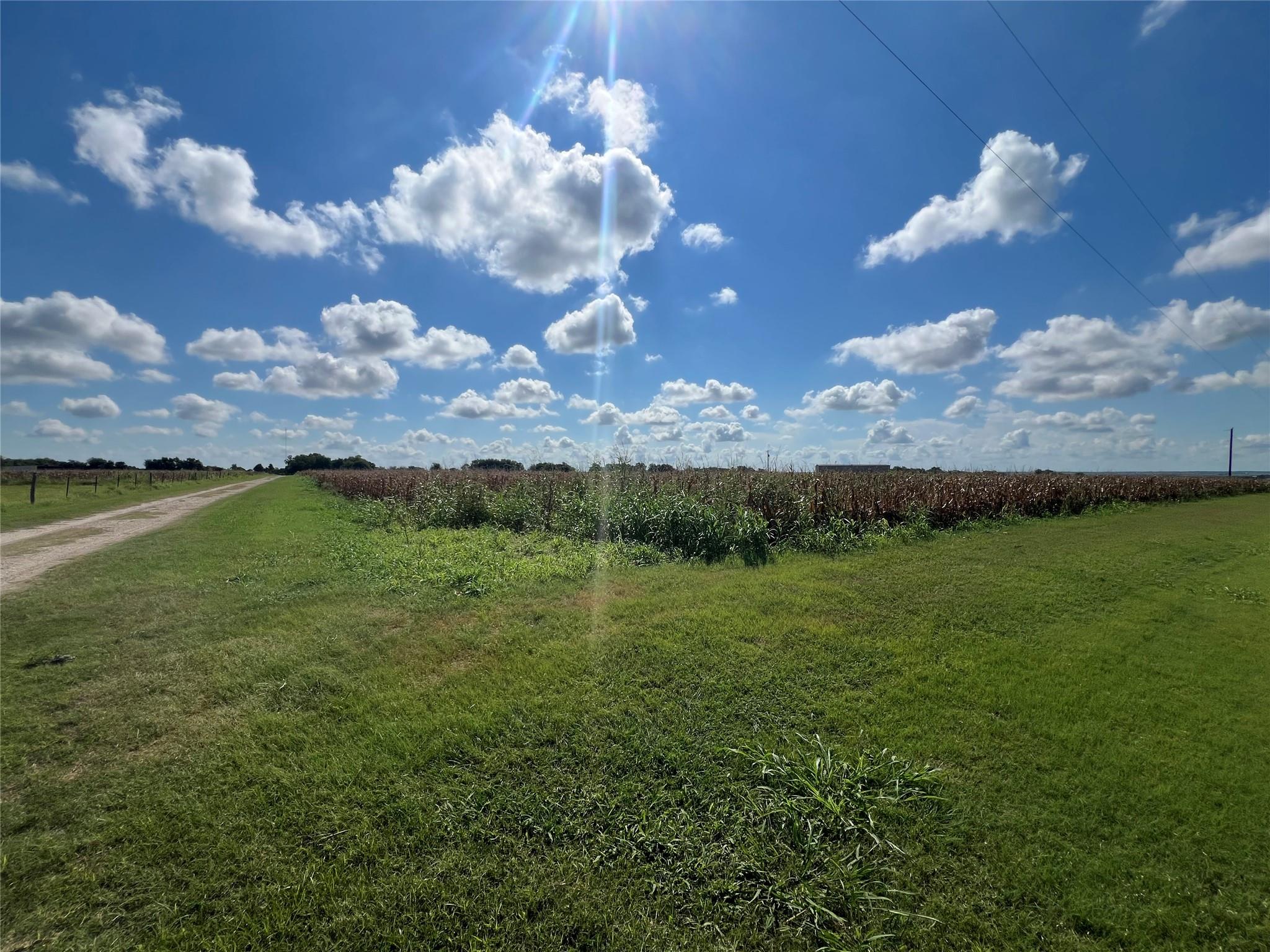 1295 County Road 432 RD