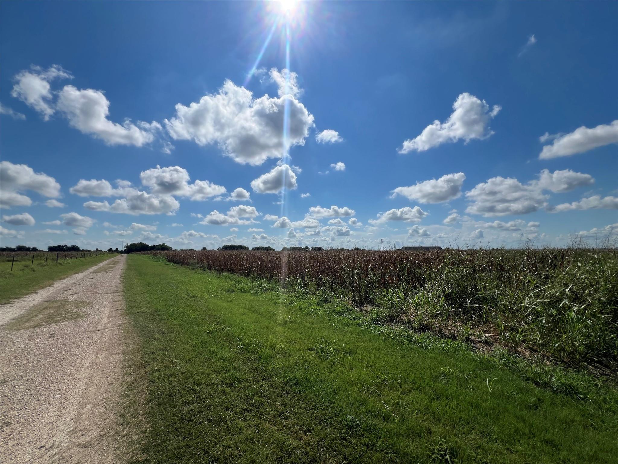 1295 County Road 432 RD