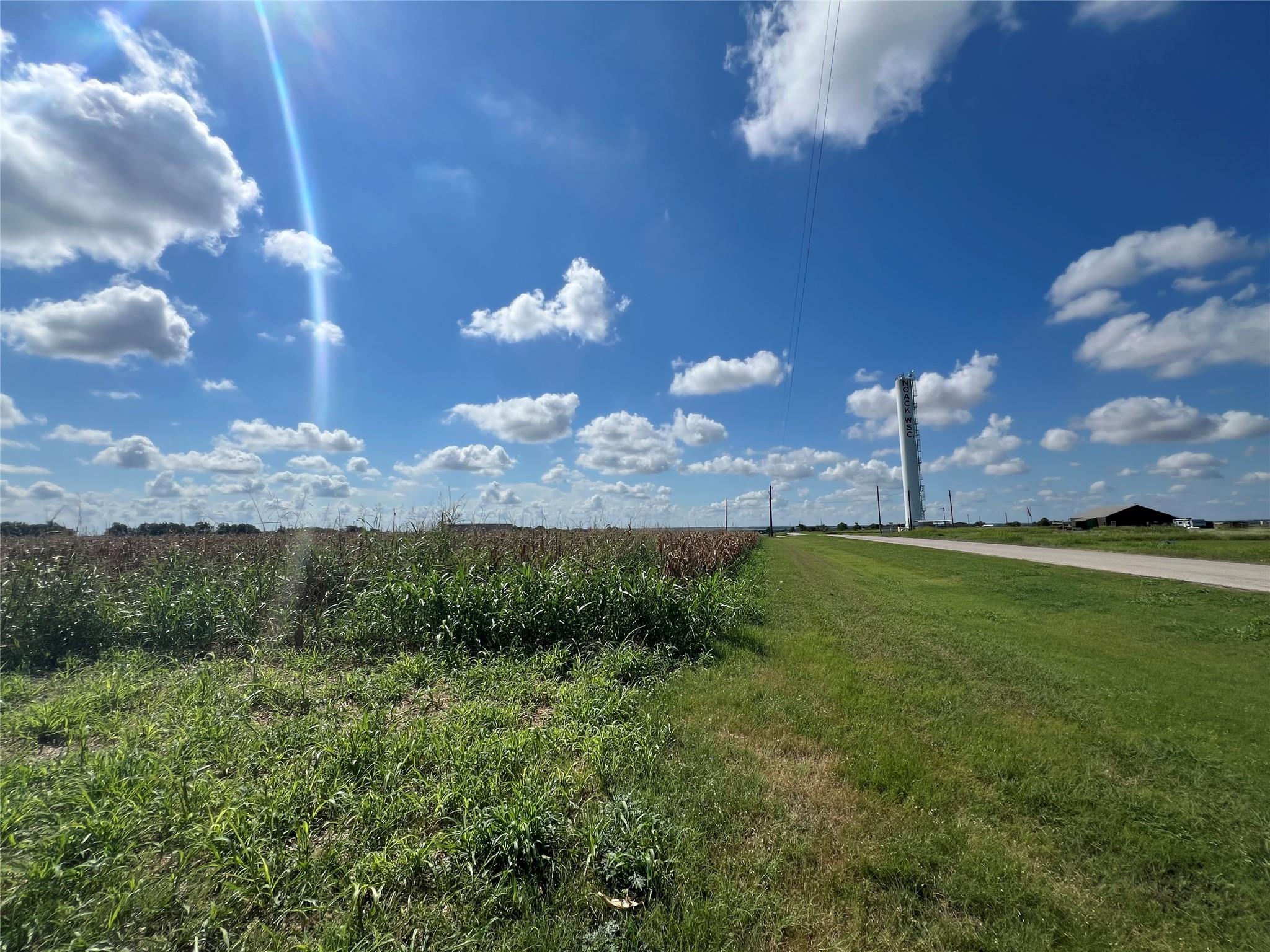 1295 County Road 432 RD