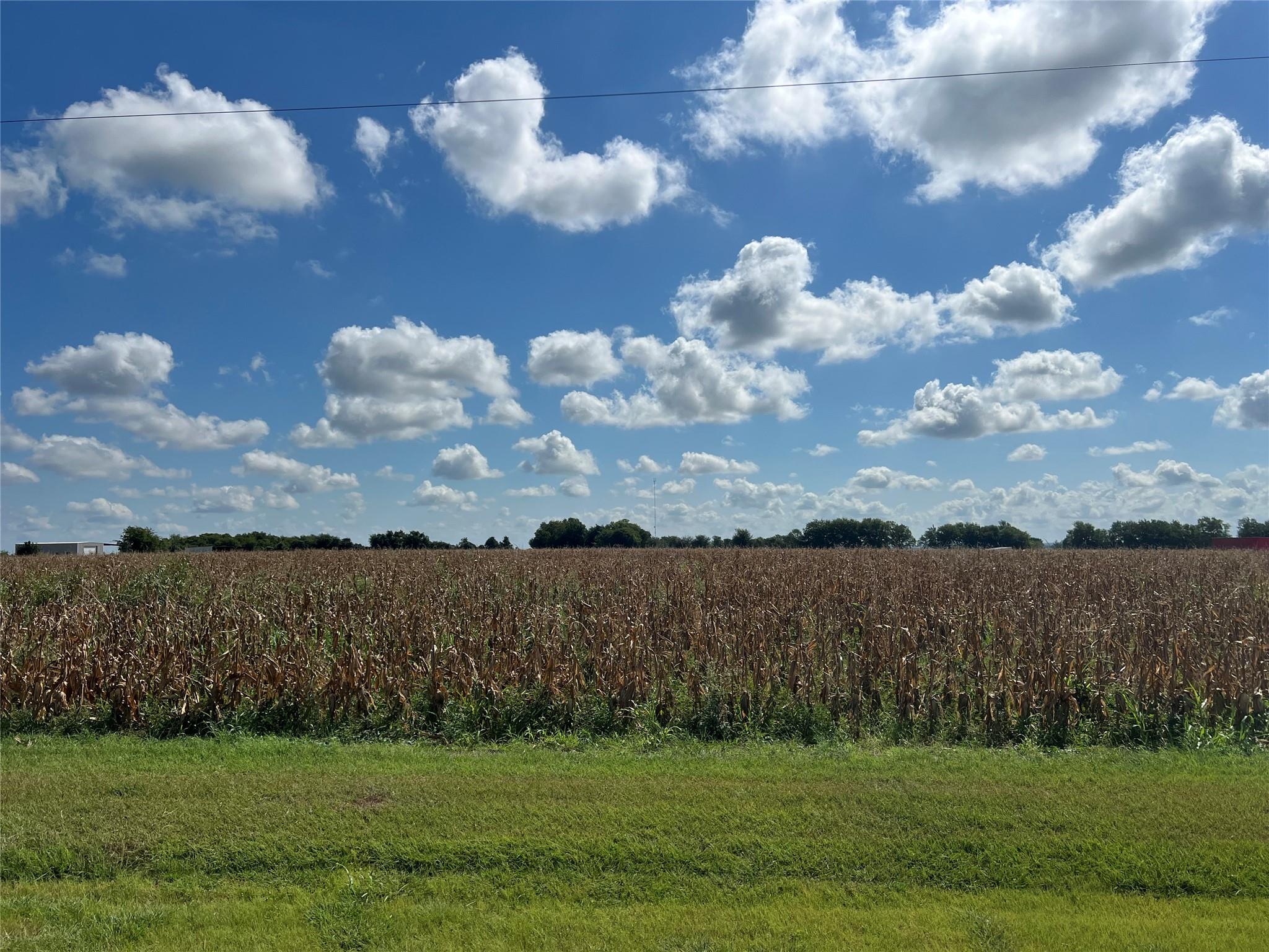 1295 County Road 432 RD