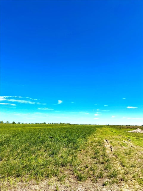 Photo of 1293 Tract 5 McDonald RD, Eagle Lake, TX 77434 (MLS # 2044224)