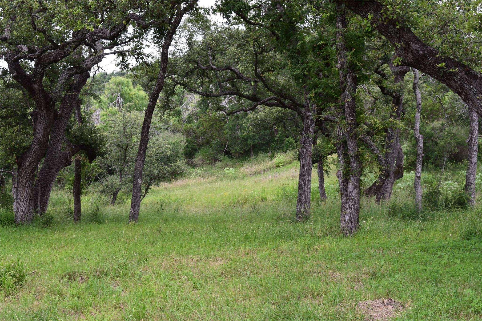 10430A Ranch Road 2341 RD 1