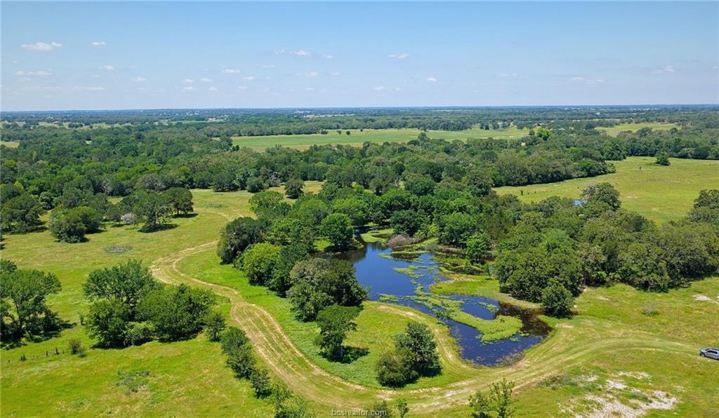 5380 County Road 132 (+/-81 acres)