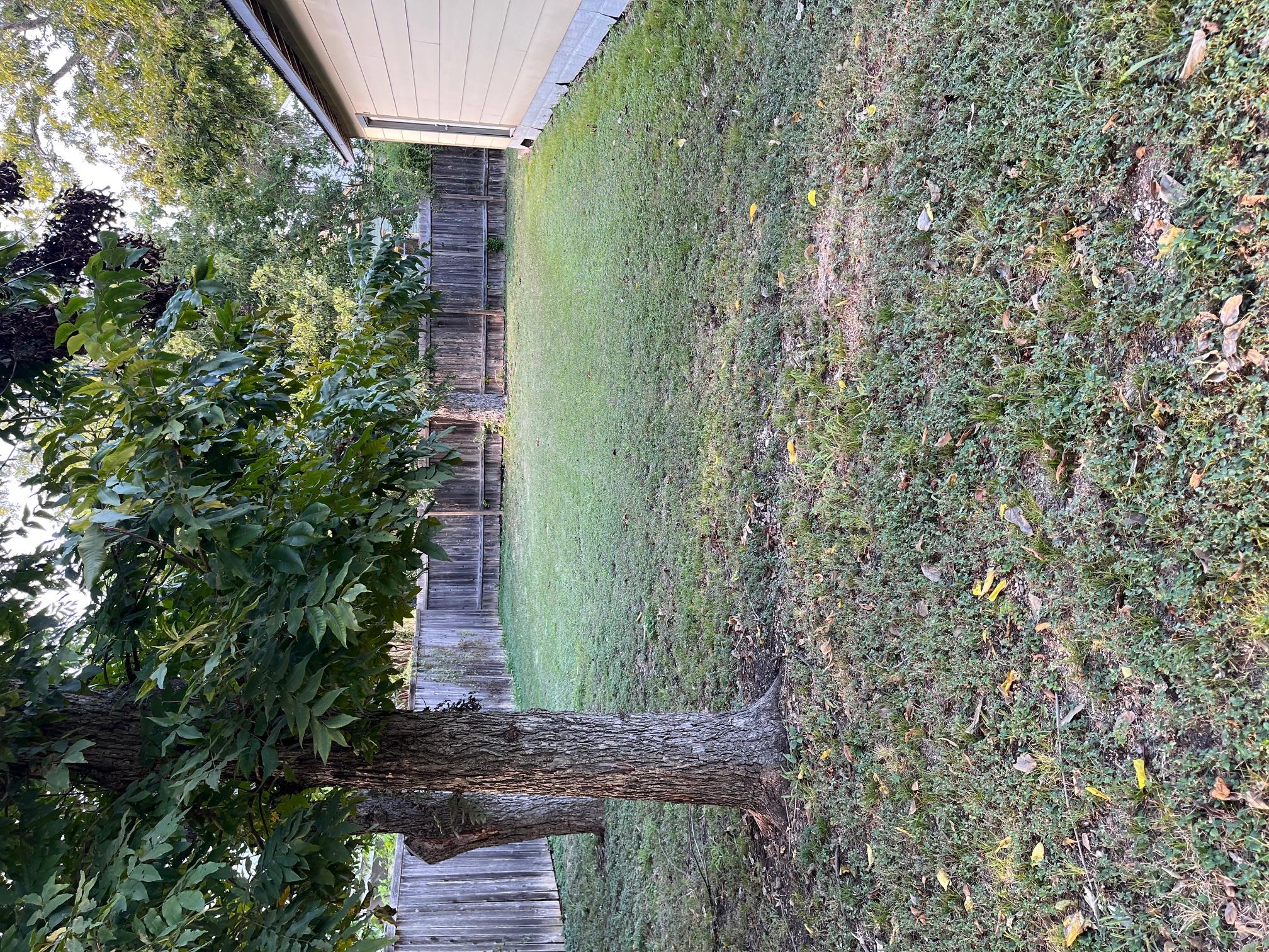115 Guadalupe ST