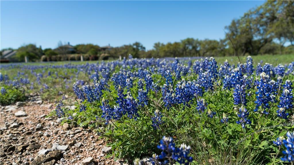 27213 Waterfall Hill PKWY