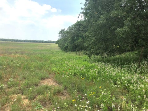 Photo of 1672 Sayers RD, Bastrop, TX 78602 (MLS # 1331424)