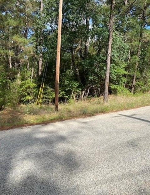 Photo of Lot 93 Papawai DR, Bastrop, TX 78602 (MLS # 9198376)