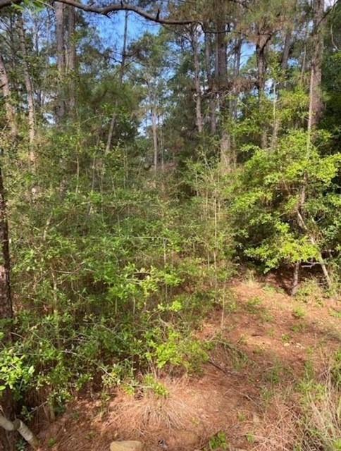Lot 93 Papawai DR