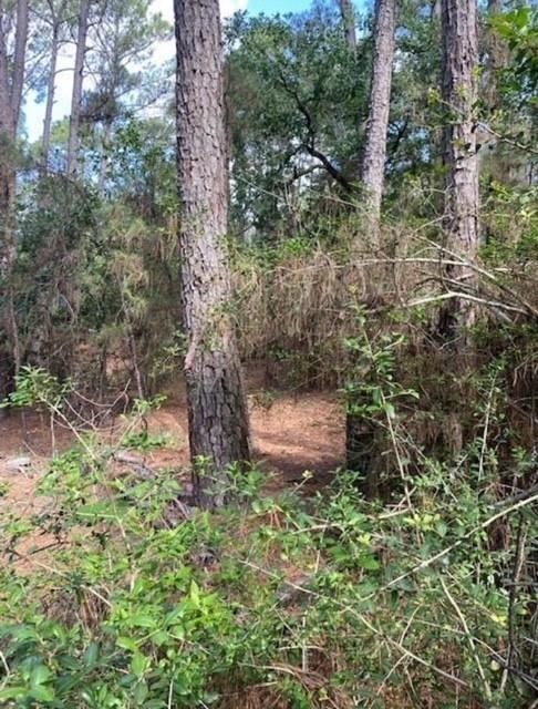 Lot 93 Papawai DR
