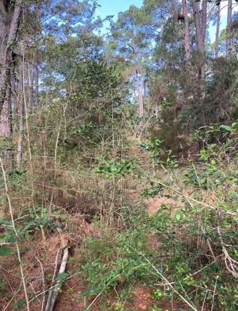 Lot 93 Papawai DR