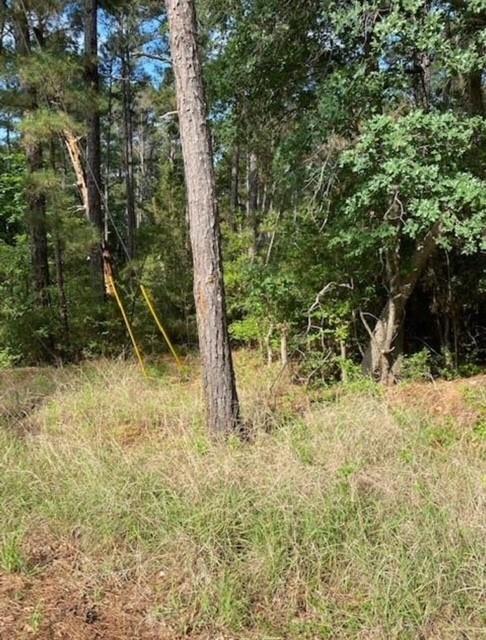 Lot 93 Papawai DR