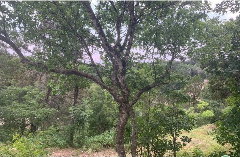 Austin, Texas 78734, United States, ,Land,Active,74830