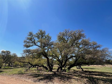 1 Barlow DR Briggs TX 78608