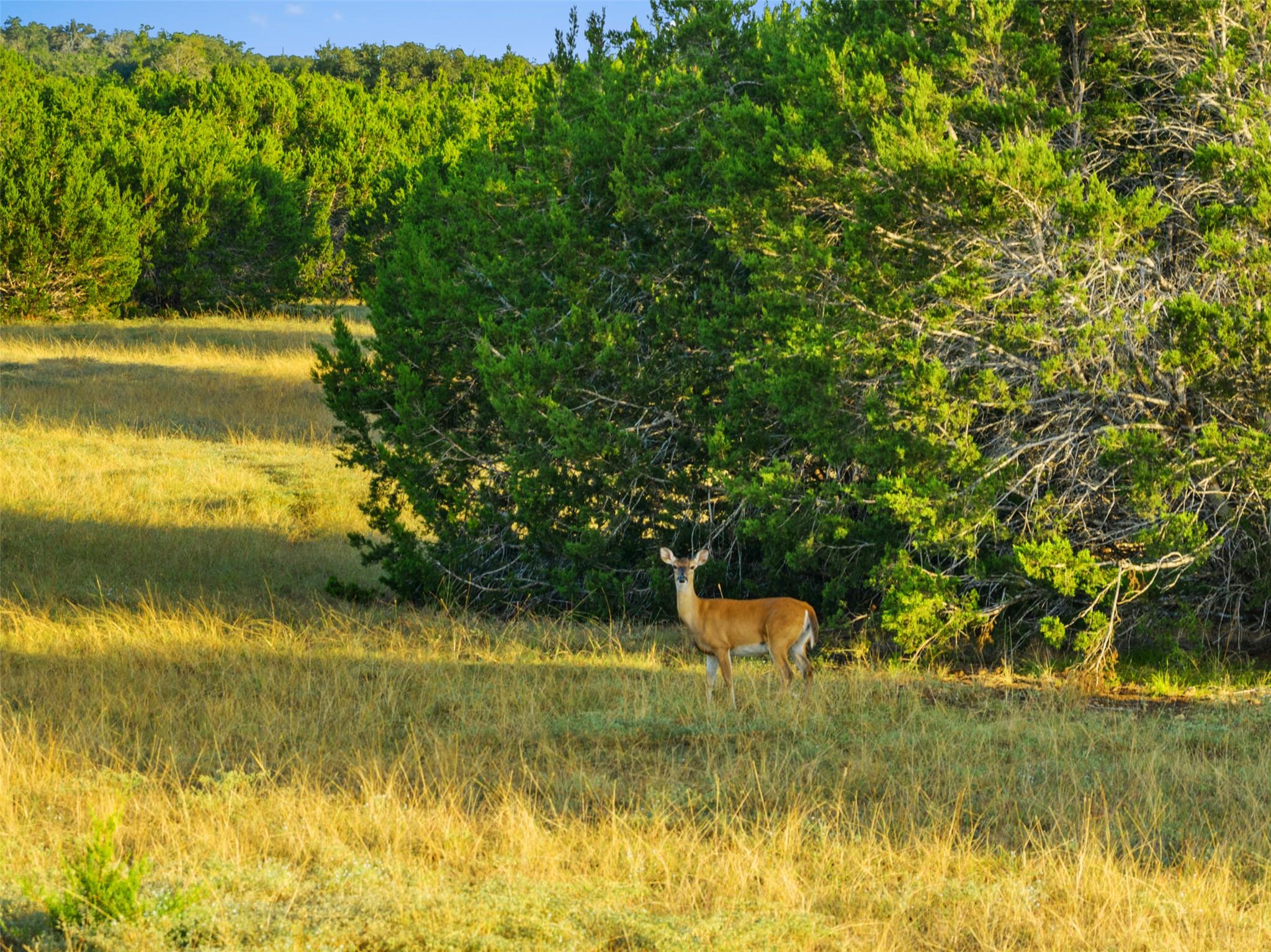 0 Hays Country Acres RD