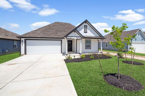 Photo of 217 Sweetwater Creek LN, Hutto, TX 78634 (MLS # 6782607)
