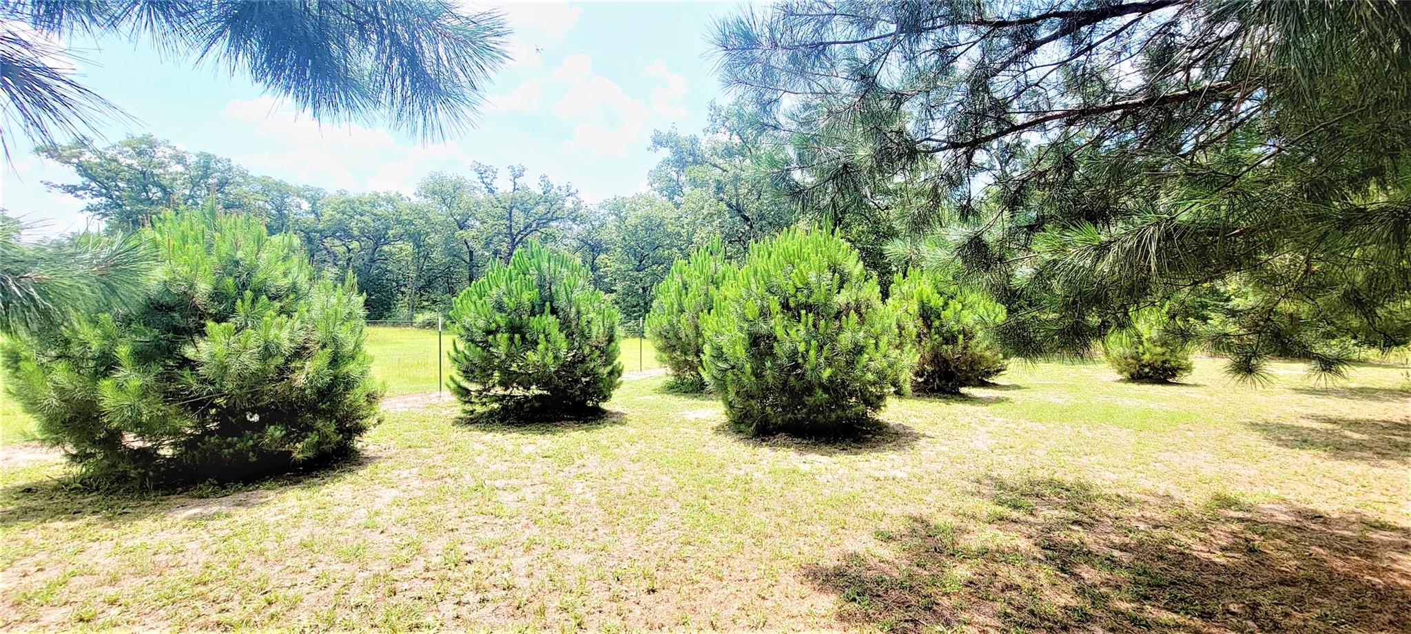 3321 County Road 457