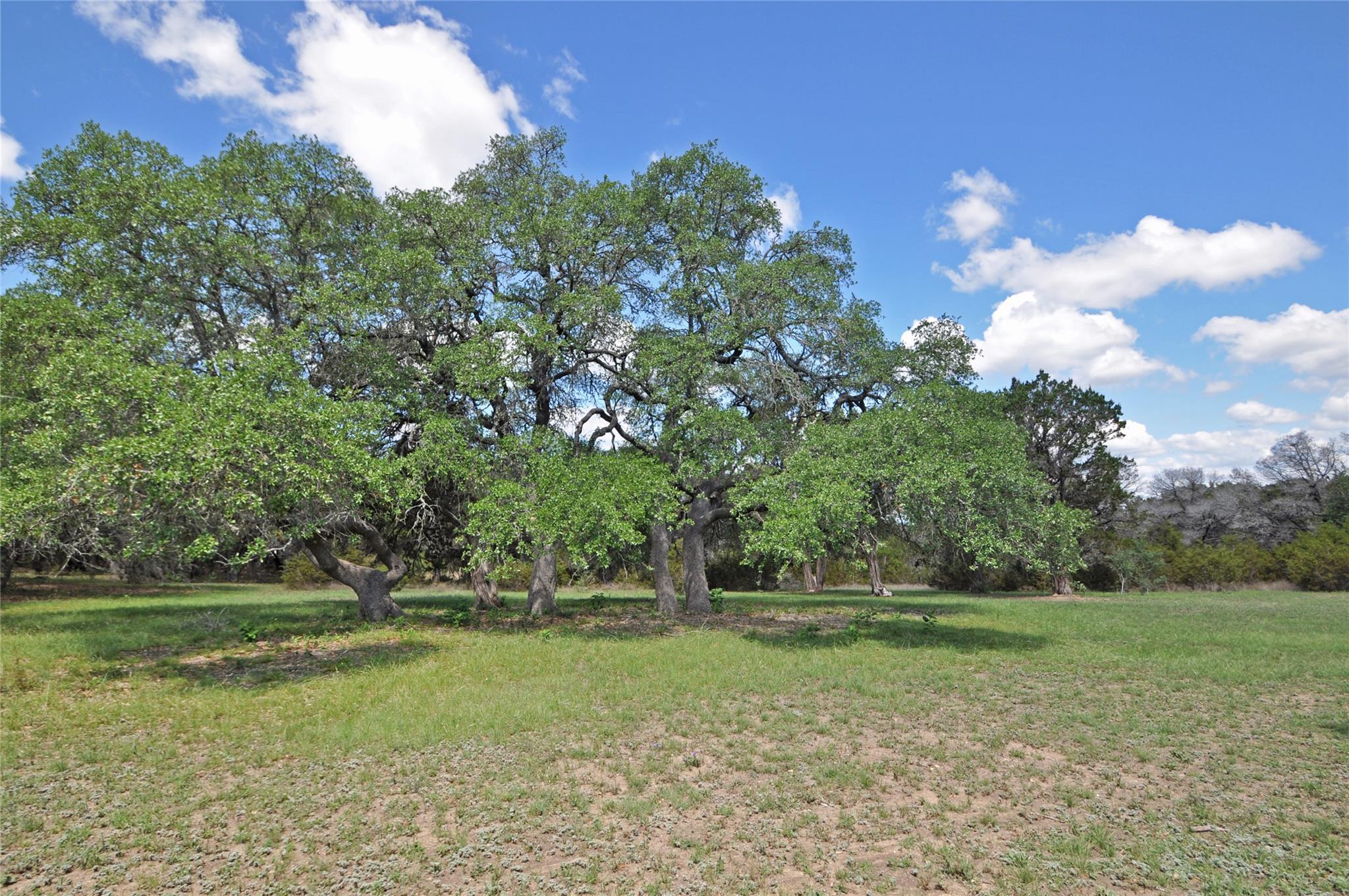 000 County Road 286 (Lot 2)