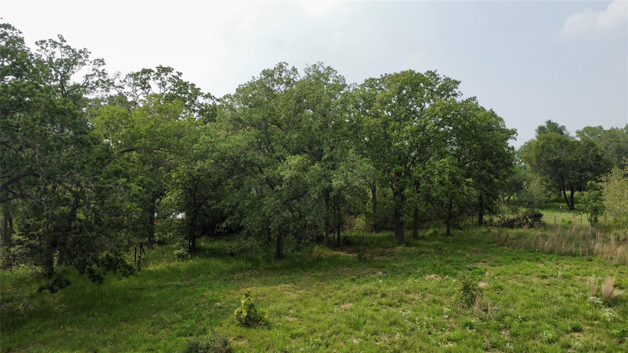 4177 Old Colony Line RD