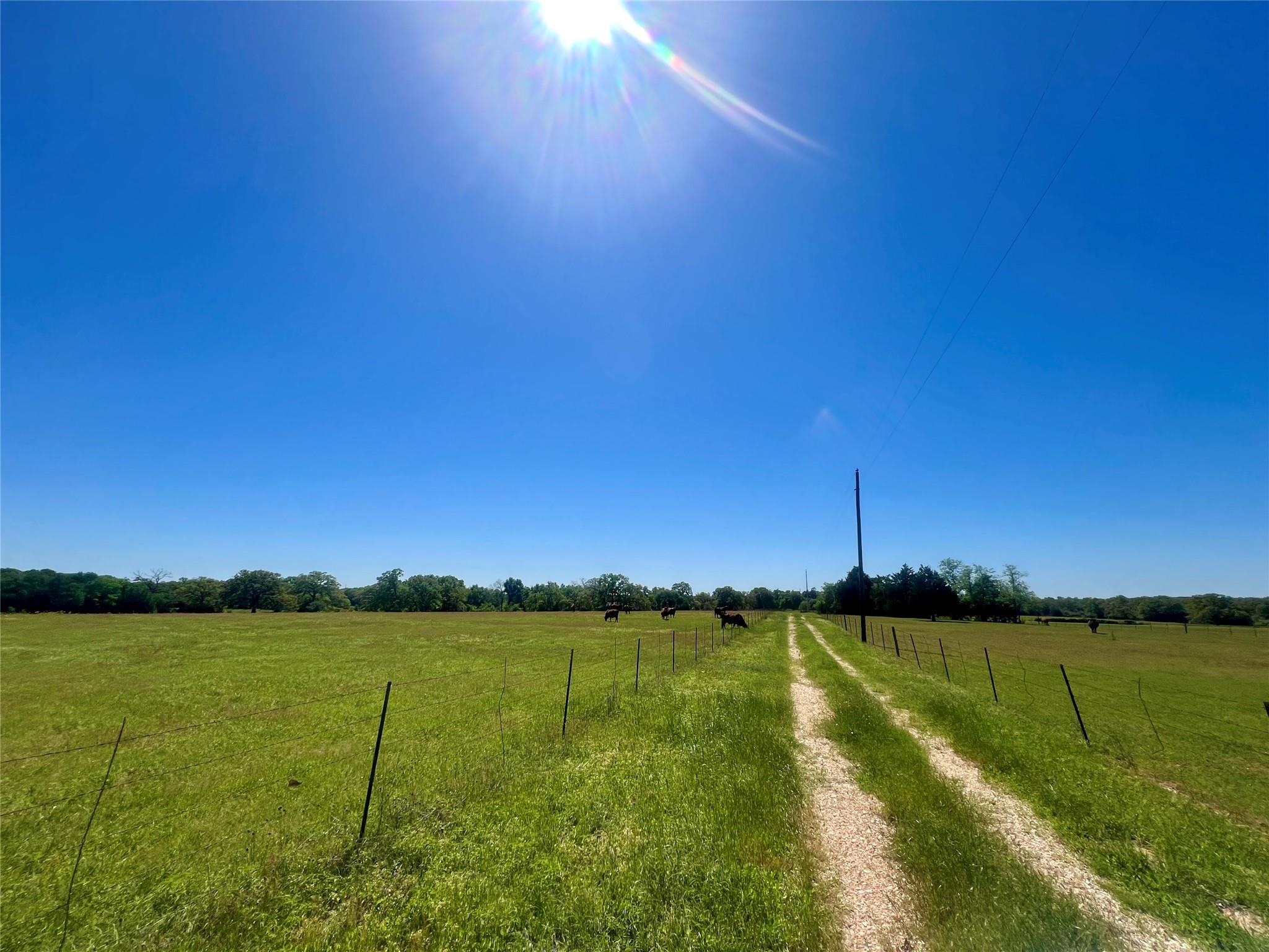 2542 County Road 306