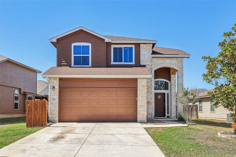 Photo of 221 Brazoria TRL, San Marcos, TX 78666 (MLS # 4842143)