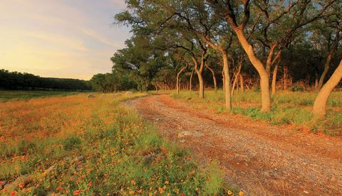 Tiny photo for 22116 Cross Timbers BND, Lago Vista, TX 78645 (MLS # 5458202)
