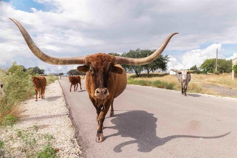 3958 Bandera Highway Kerrville TX 78028
