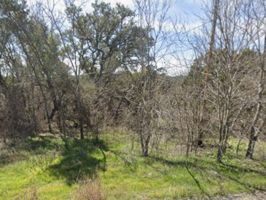 18501 E LAKEVIEW DR, LEANDER, TX 78645 - Image e9764863813e56e1f1b05affe5f135bb/237241123