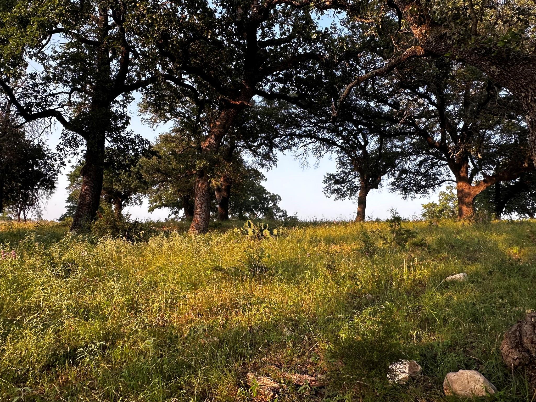 389 Rocky Hollow RD