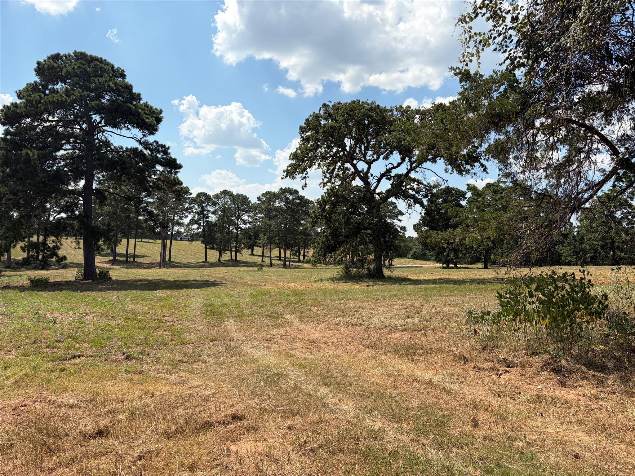 170 Split Oak RD
